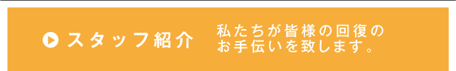 スタッフ紹介